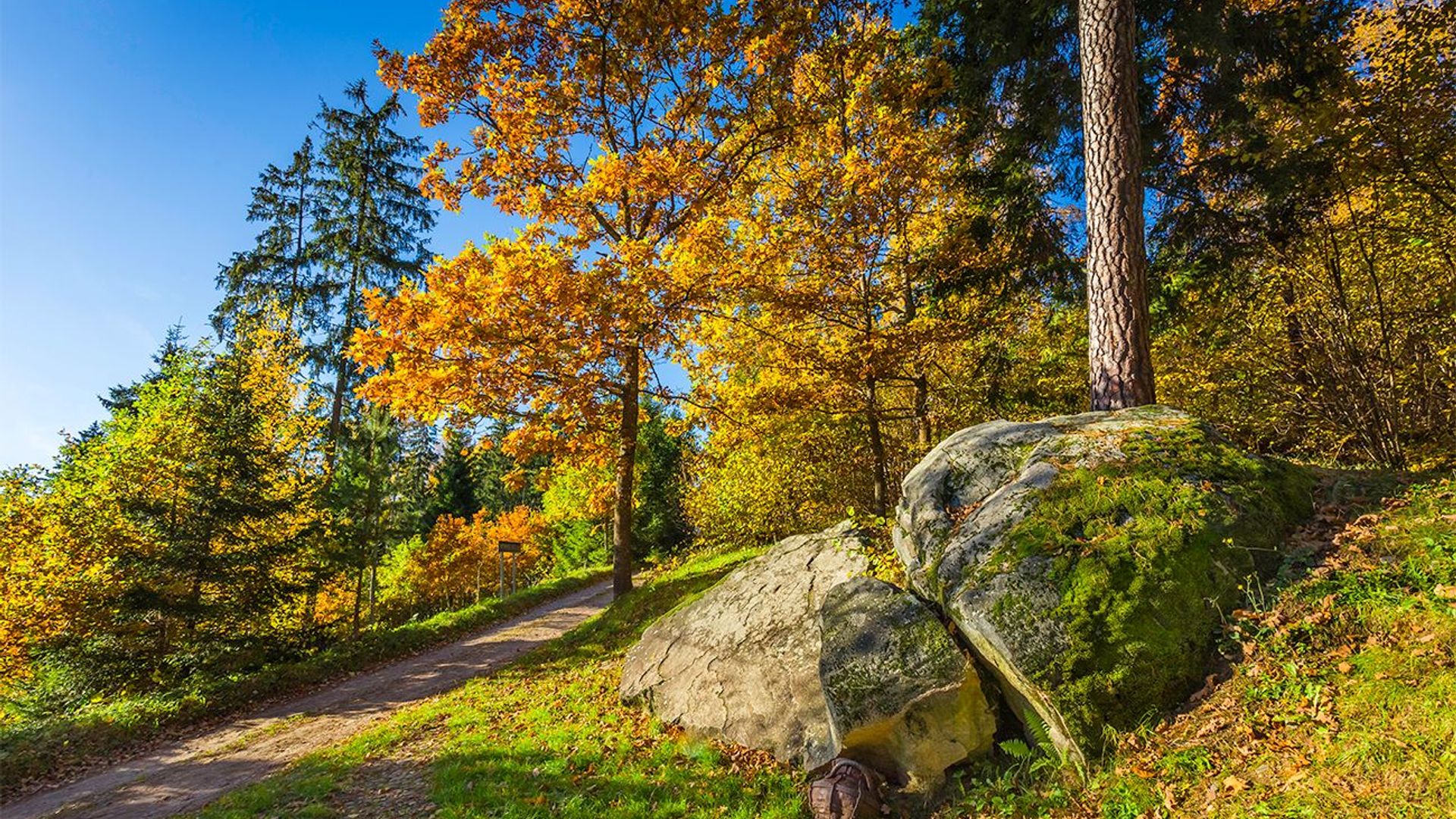 Nikronys Boulder