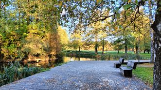 Ariogala (Purvė) Park