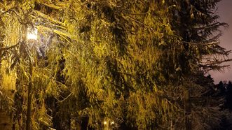 Šventoji River Trail