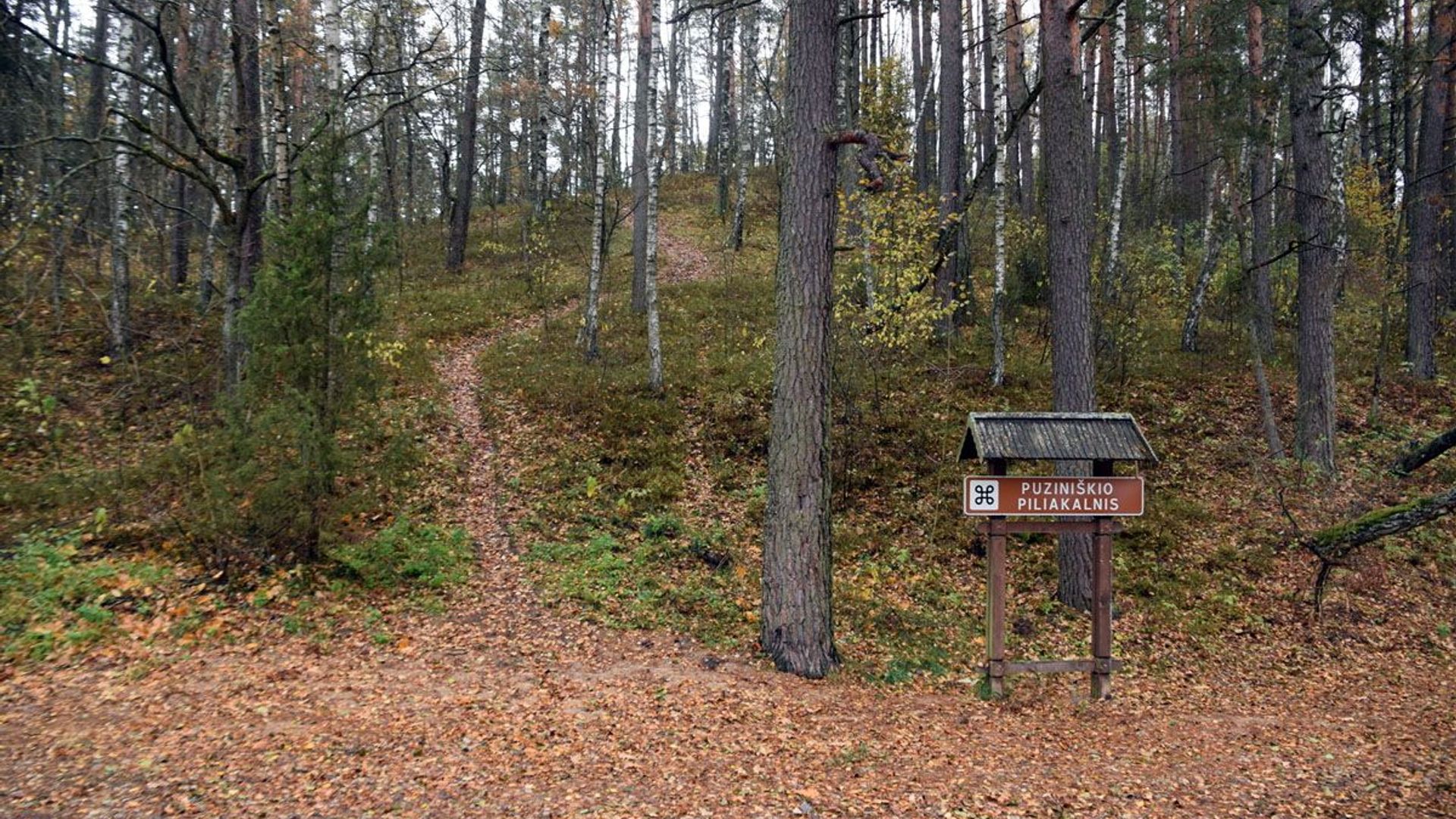 Puziniškio piliakalnis