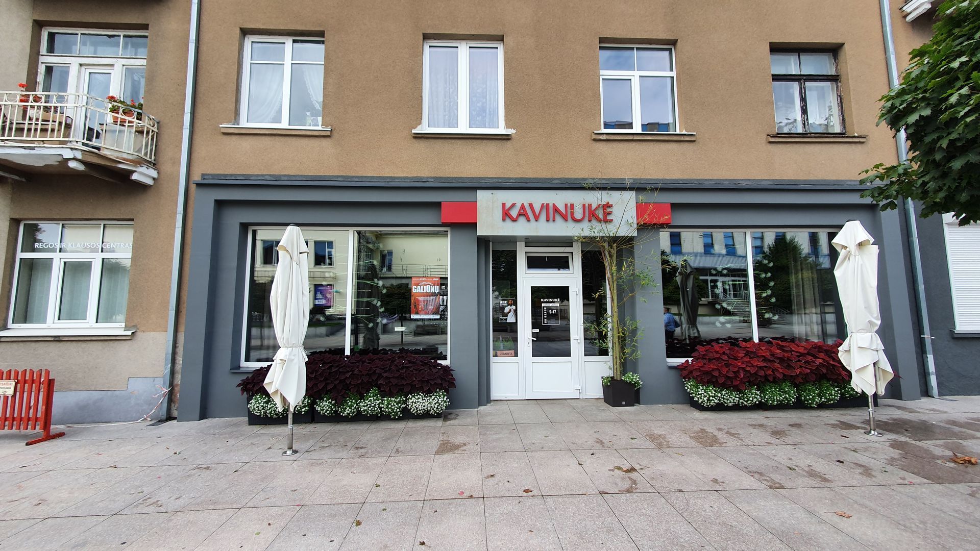 Kavinukė