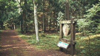 Juodkrantė Dendrological Trail