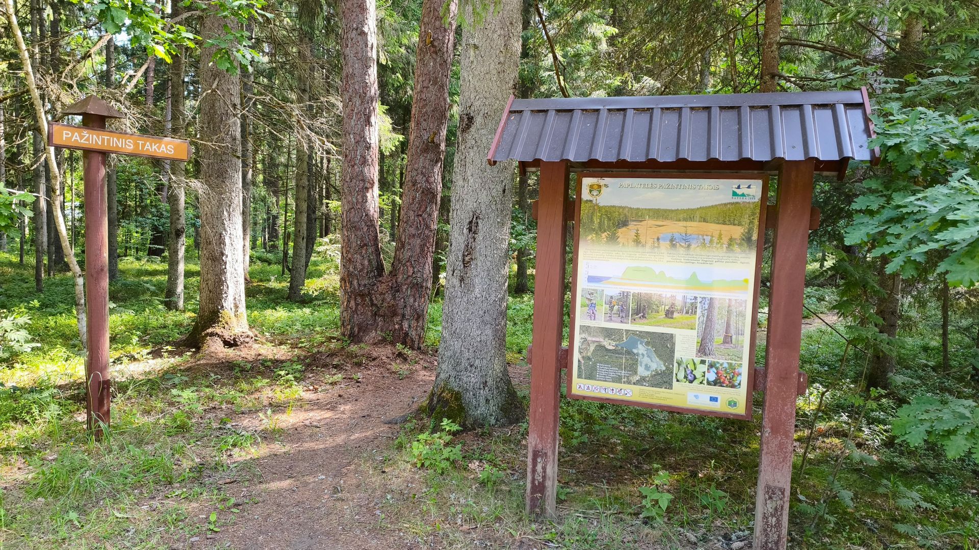 Paplatelė Cognitive Trail