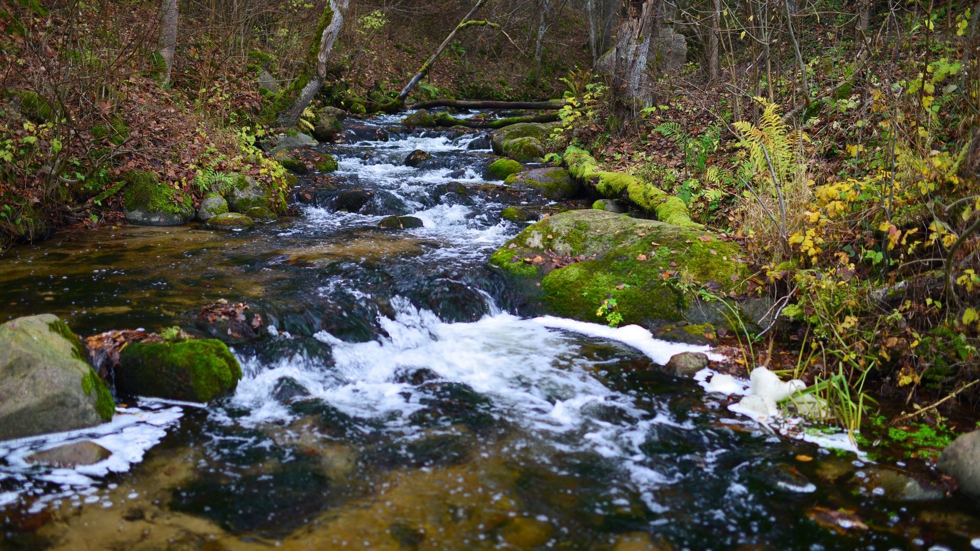 Saidė River Cognitive Trail