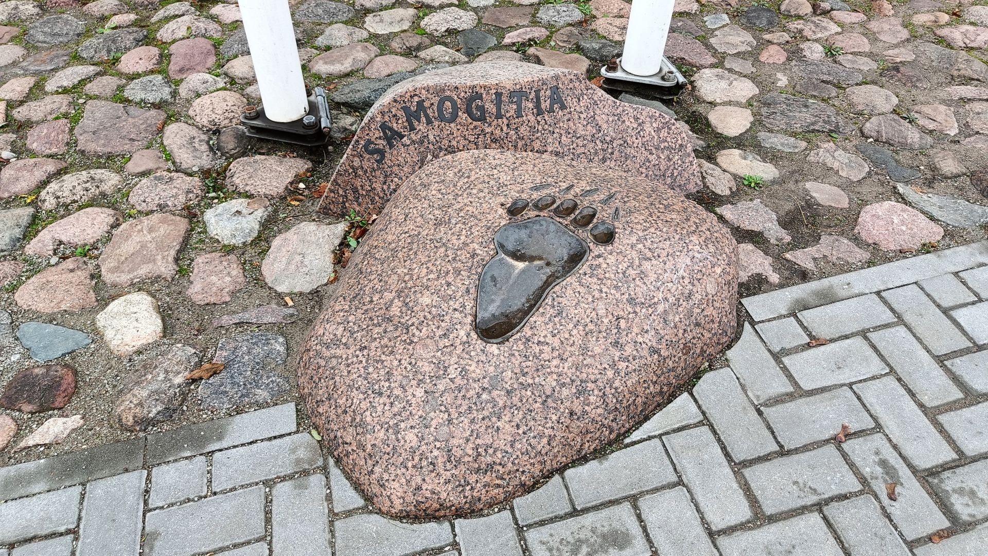 Sculpture The Foot of a Bear