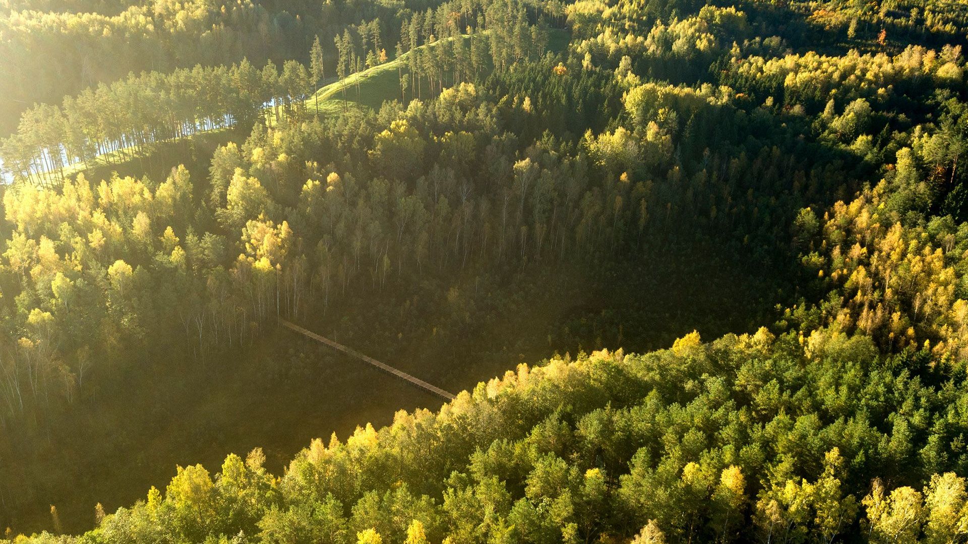 Sirvėtos regioninis parkas