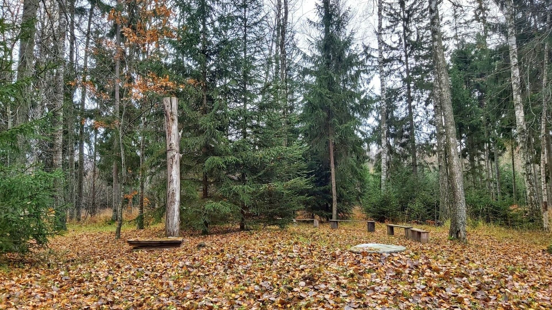 Partisans Bunker of Duke Žvelgaitis