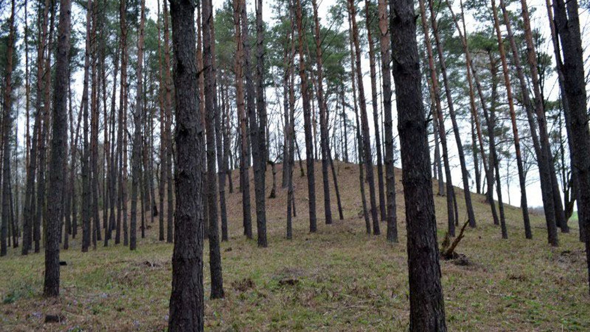 Šlavantai Mound