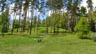 Pivašiūnai Mound