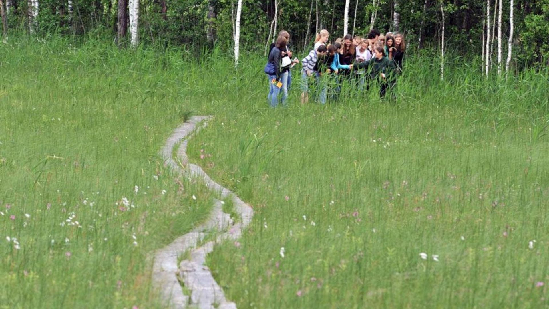 Ilgašilis Trail