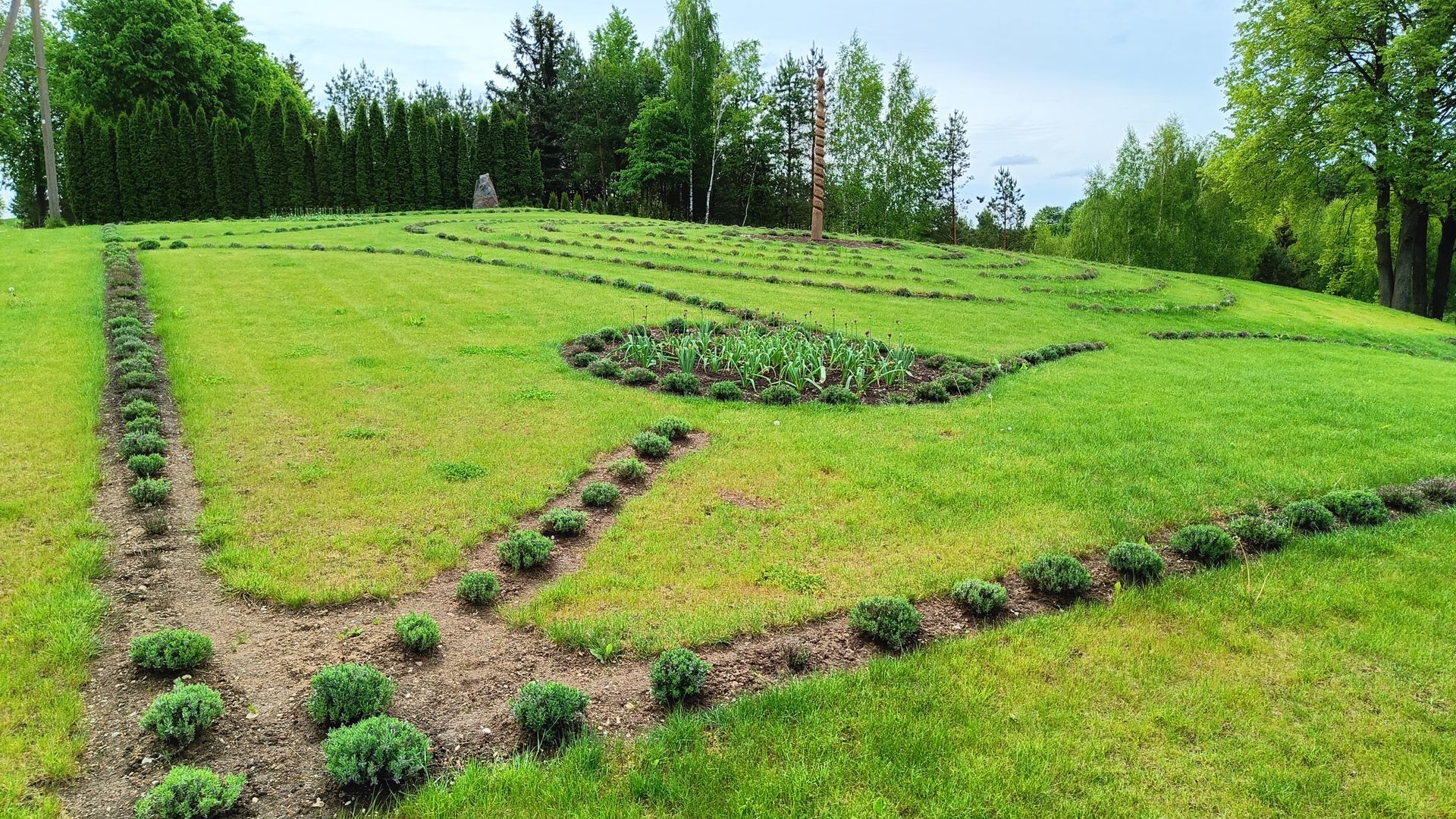 Lavender Terrace