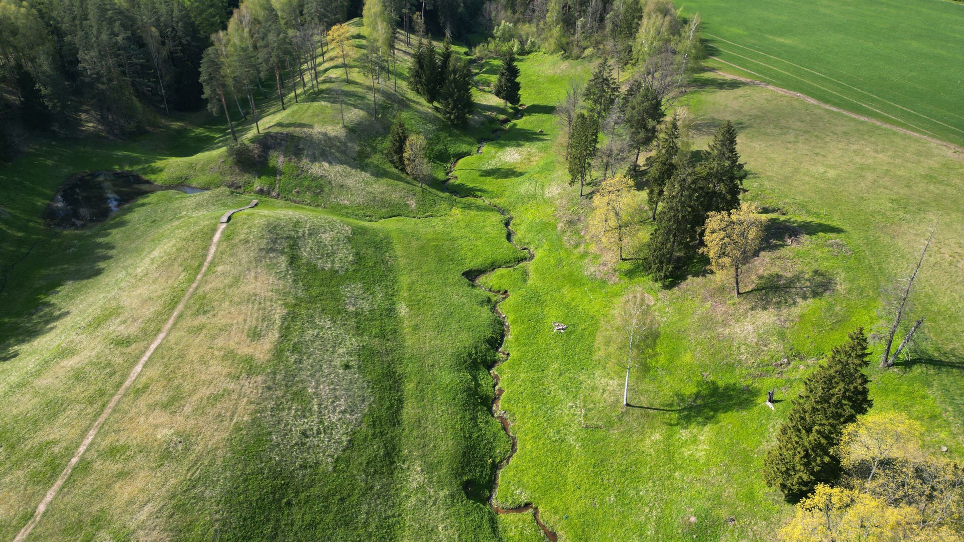 Šeimyniškėlių (Vorutos) piliakalnis