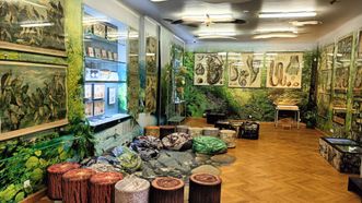 Lietuvos švietimo muziejus