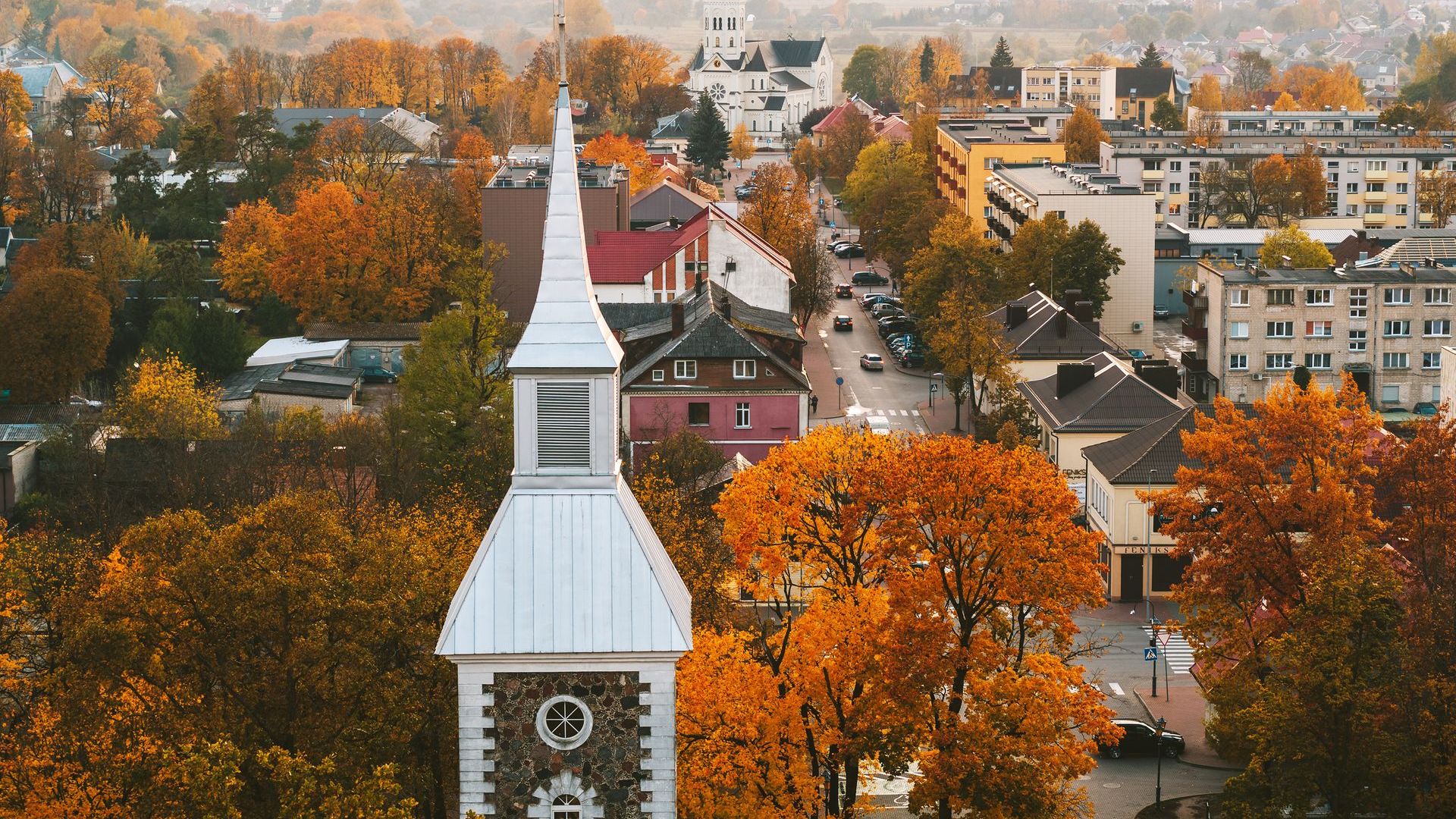 Tauragė