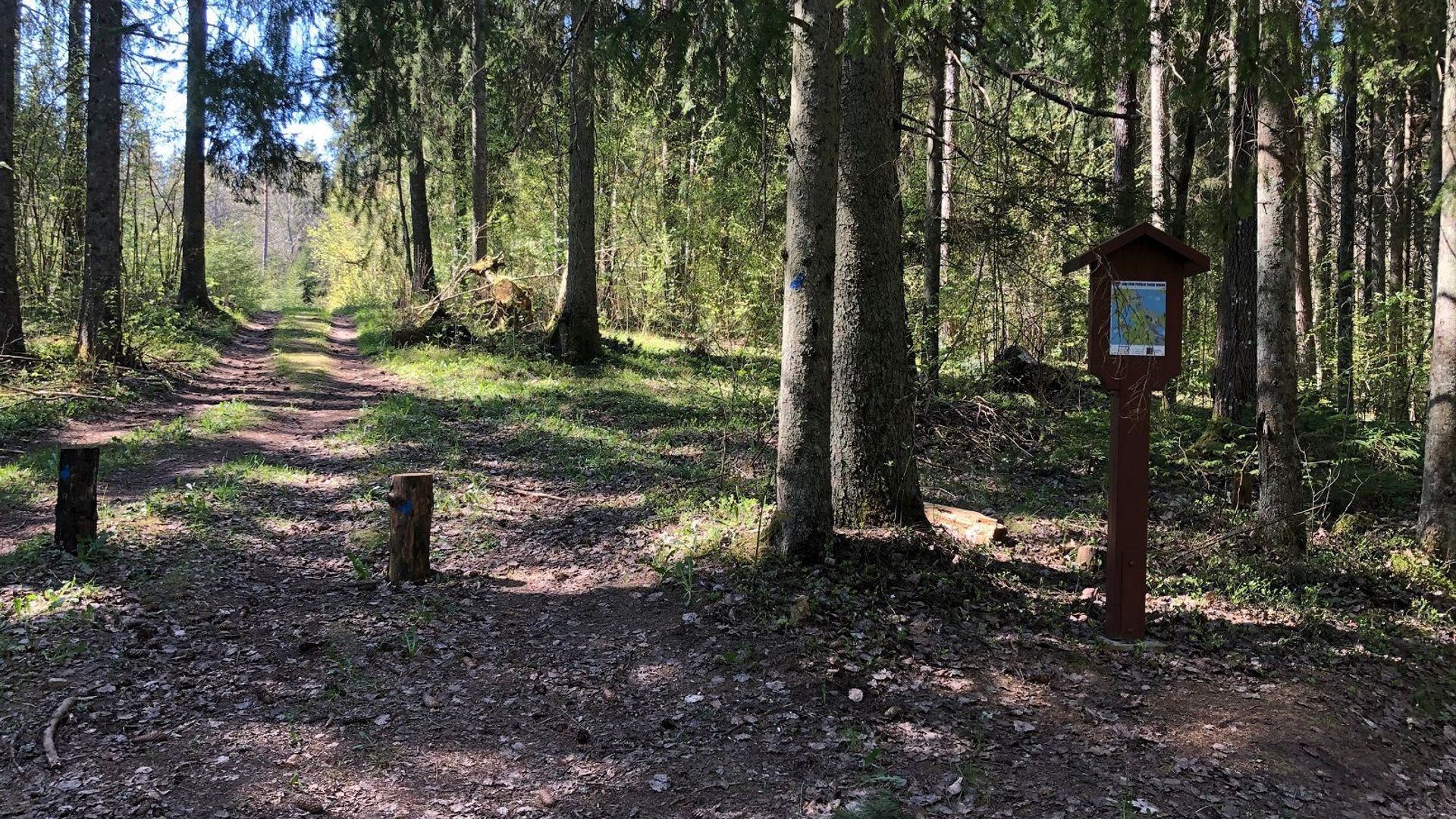 Ilgis Lake Trail