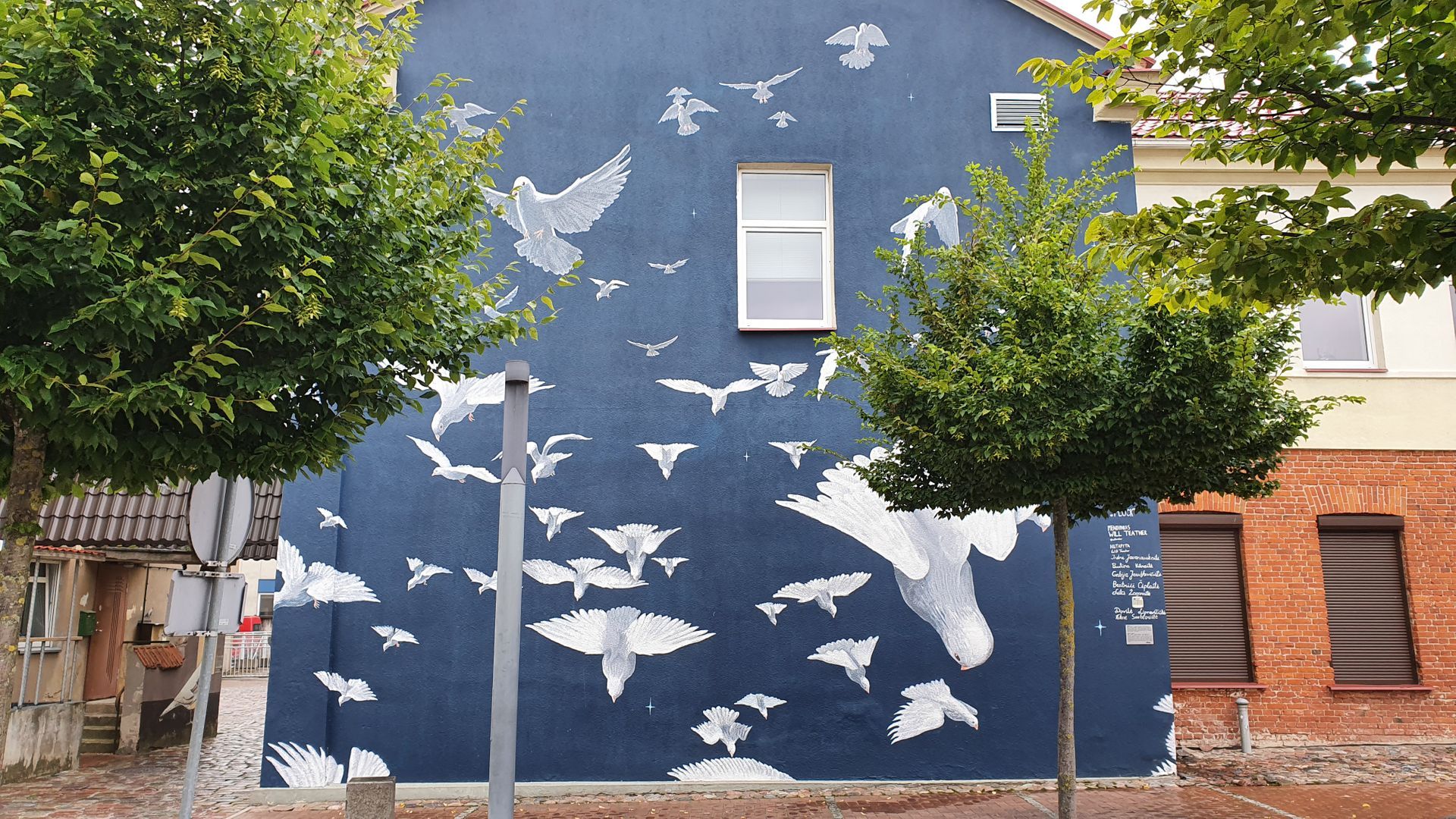 Mural Flock