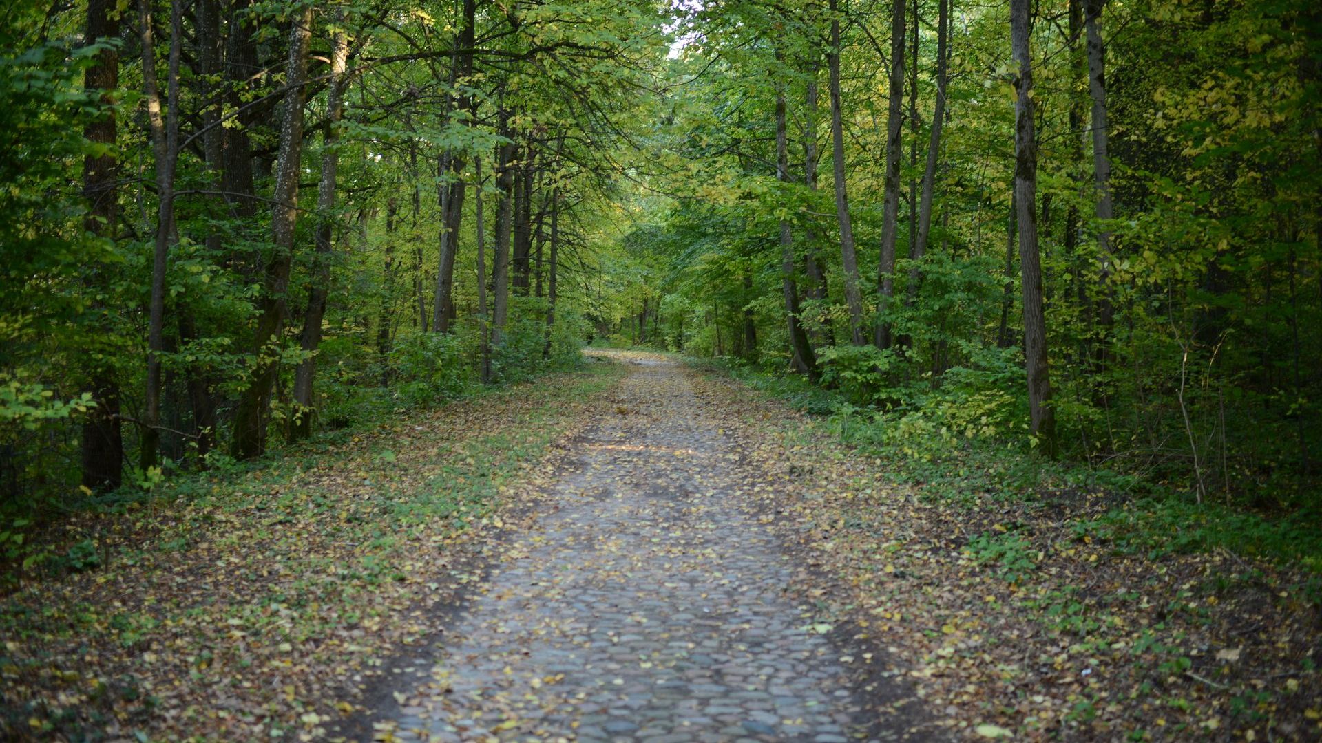 Panerių pažintinis takas