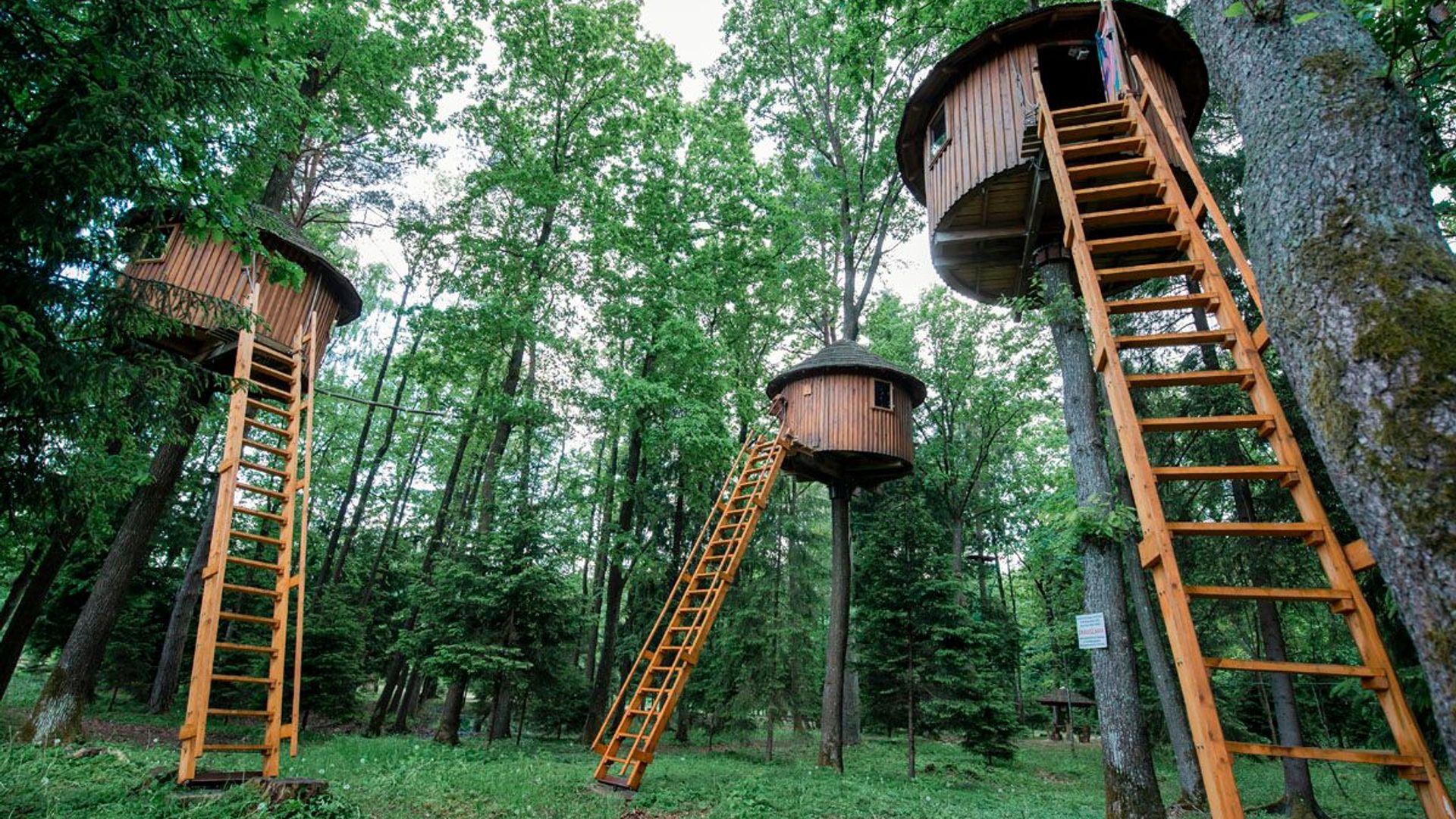 Taurai Park Treehouses