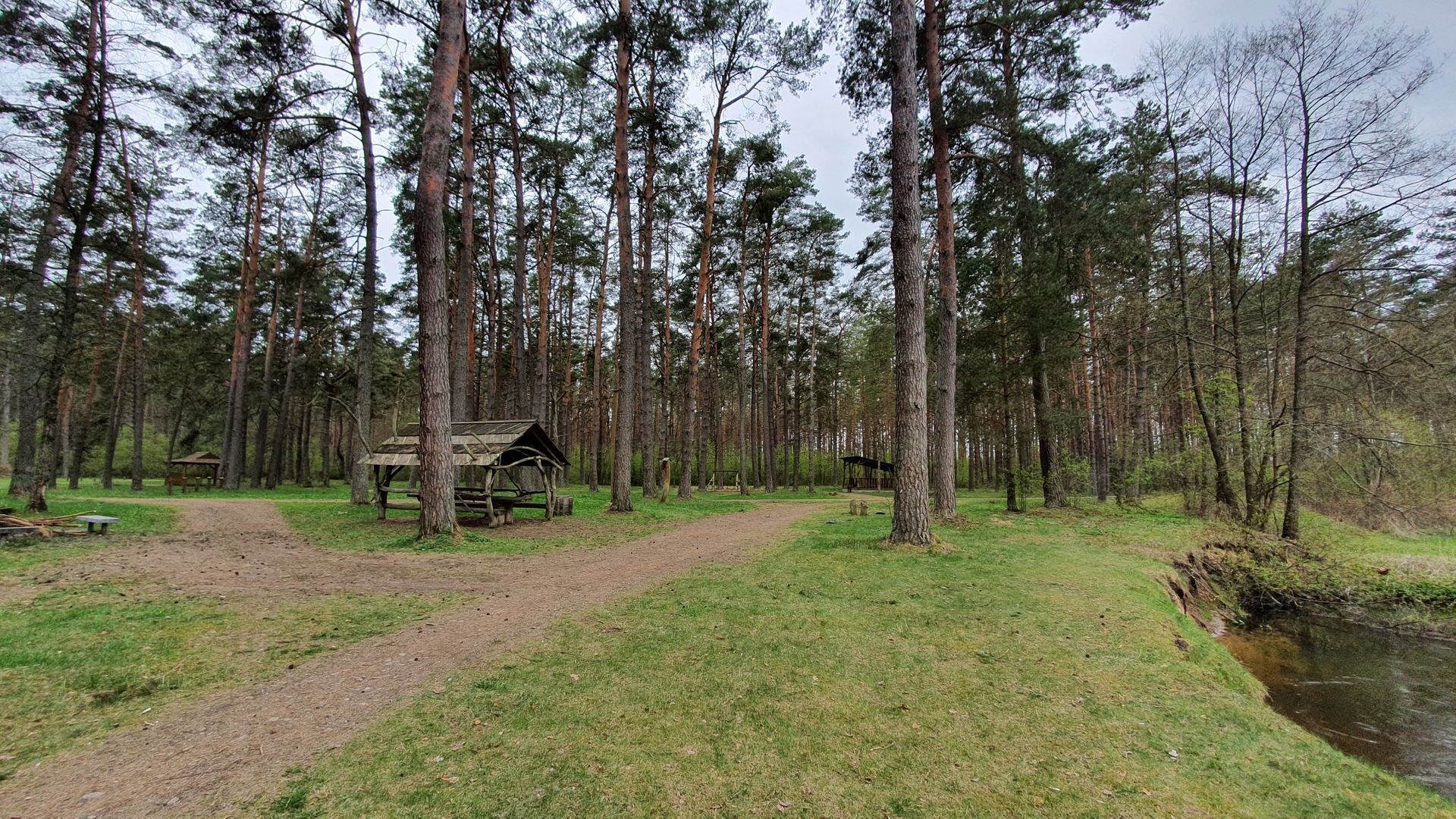 Forest Campsite