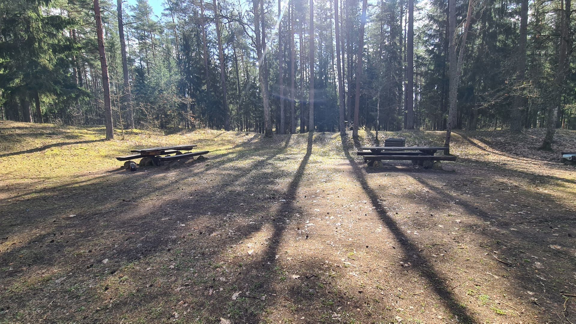 Šilelis Forest Trail