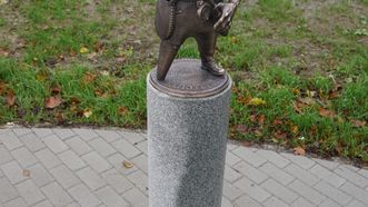 Kukutis vienkojis