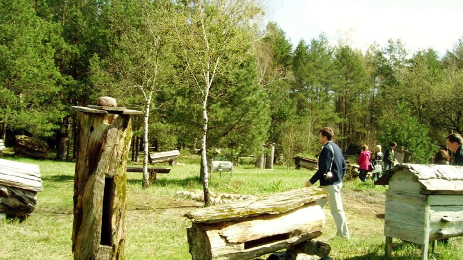 Exposition of Tree Beekeeping