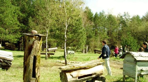 Exposition of Tree Beekeeping