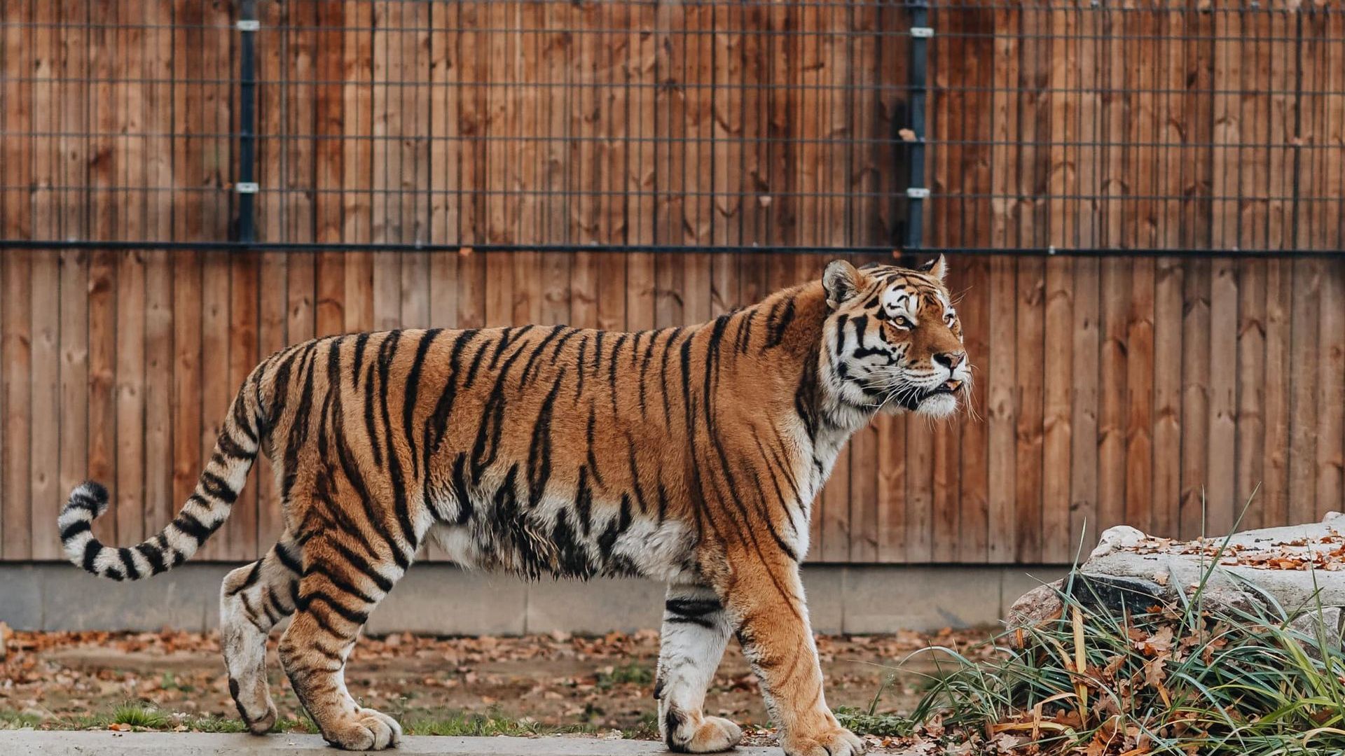 Lithuanian Zoo