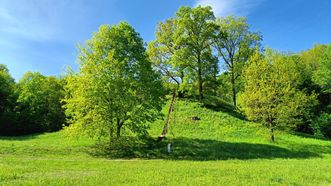 Bačkininkėliai Mound