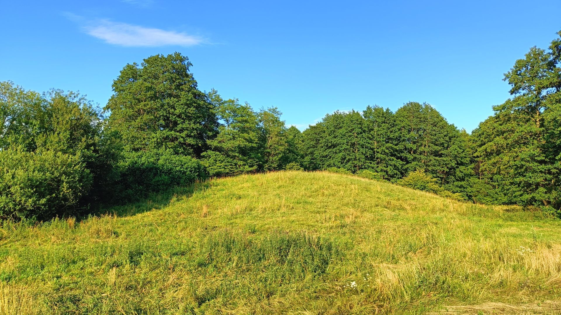 Šakiai Mound