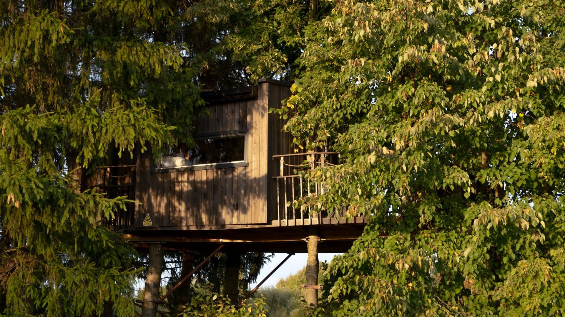 Birds Treehouse