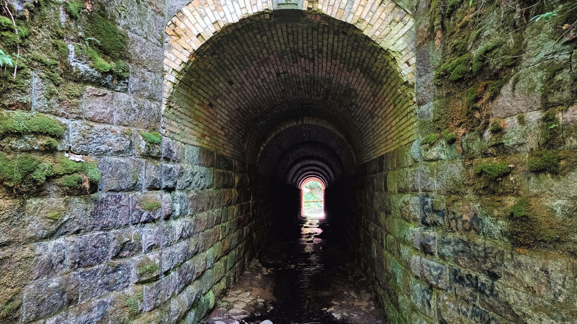 Motertis Stream Tunnel